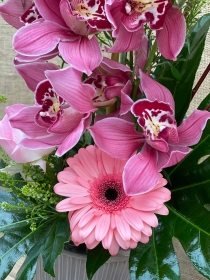 Mothers Day