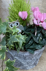 The Plant Market