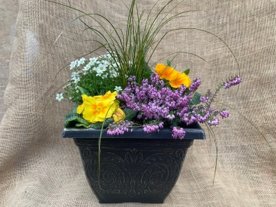 Planted pot, squared