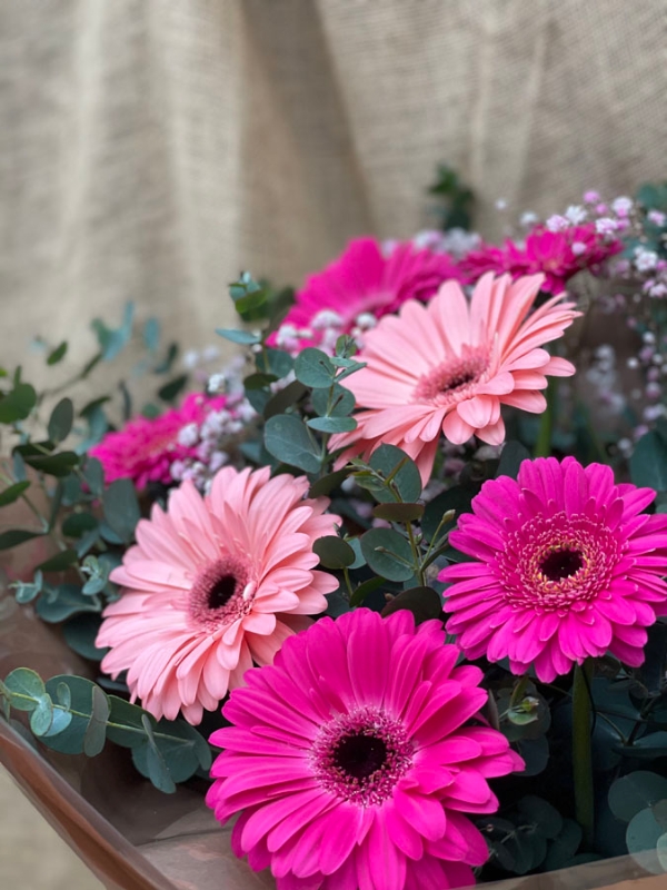 Simply Gerbera   Pinks