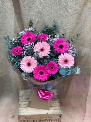 Simply Gerbera   Pinks