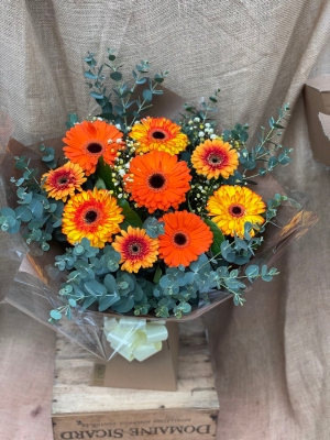 Vibrant Gerbera