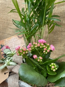 Wheel Barrow Arrangement