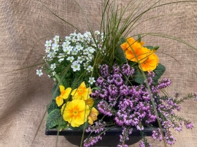 Planted pot, squared