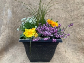 Planted pot, squared